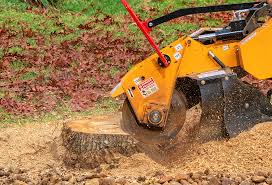 Best Seasonal Cleanup (Spring/Fall)  in Livingston, AL